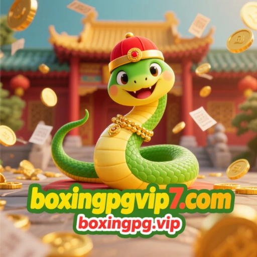 boxingpg.vip